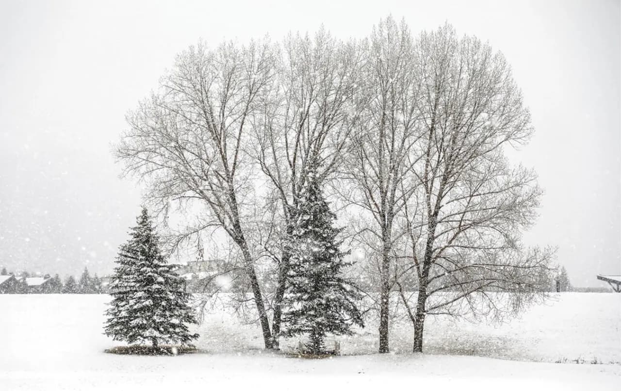 Winter Weekend Getaway: Your Perfect 48 Hours in Berlin, Ohio